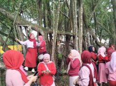 Perayaan Cap Go Meh di Pulau Kemarau Membuat Pohon Cinta Berduka