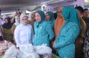 Demi Masyarakat, Ketua TP PKK Palembang Dewi Sastrani Ajukan Pensiun Dini