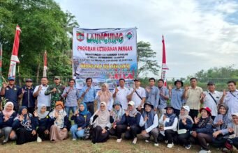 Desa Surodadi bergerak, Ketahanan Pangan menuju kesejahteraan