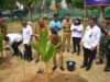 Tanam Bibit Pohon Kelapa Serentak, Wali Kota Ratu Dewa Sukseskan Program Nasional