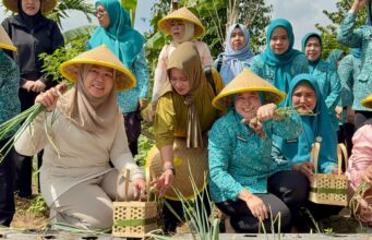 Kolaborasi PKK Sumsel-Palembang Hidupkan Dasawisma dan Pasar Tani