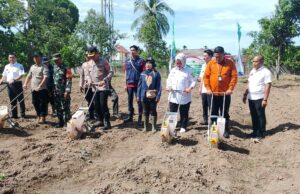 Musi Banyuasin Targetkan Swasembada Pangan 2025: Gelar Tanam Jagung Serentak Kuartal IV, Sinergi Polri-Pemda Tingkatkan Produktivitas