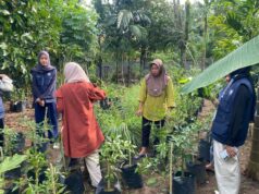 Mahasiswa KKN Bersama KWT Mawar Jaya Lestari Gelar Penanaman Sayuran di Sugih Waras Barat