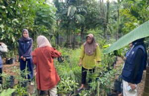 Mahasiswa KKN Bersama KWT Mawar Jaya Lestari Gelar Penanaman Sayuran di Sugih Waras Barat