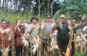 Pemkab Muba Bersama TNI–Polri Dukung Swasembada Pangan 2026, Panen Raya Jagung Serentak Digelar di Lawang Wetan