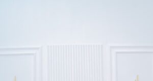 Klarifikasi Tegas Pemkab Empat Lawang: Anggaran Mobil Dinas Dialihkan untuk BPJS Kesehatan