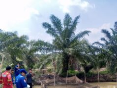 Medco E&P Grissik Dukung Budidaya Lele untuk Dorong Kemandirian Ekonomi Masyarakat