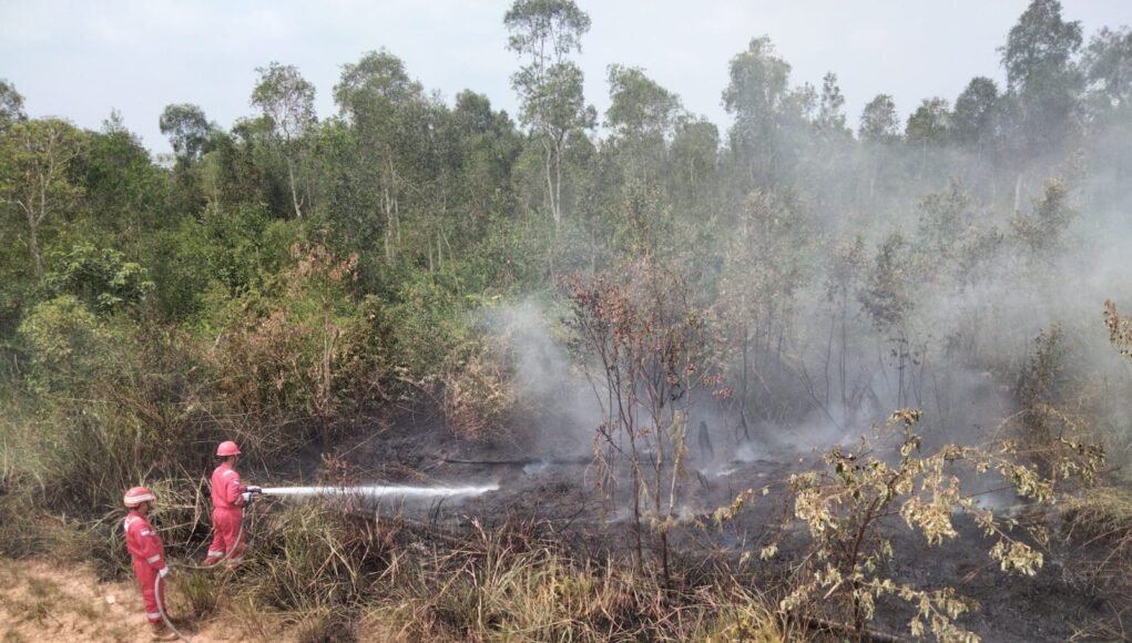 SIAGA 24 JAM, Tim Pertamina Padamkan Karhutla Dekat Fasilitas Migas, Warga: “Responsnya Sangat Berarti”