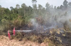 SIAGA 24 JAM, Tim Pertamina Padamkan Karhutla Dekat Fasilitas Migas, Warga: “Responsnya Sangat Berarti”