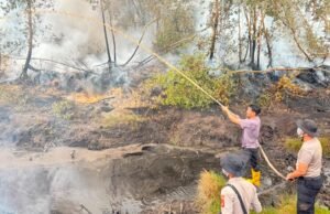 Polda Sumsel Gerak Cepat Tangani Karhutla di Teluk Limau Muara Enim