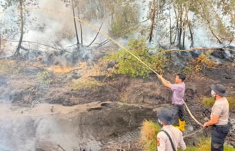 Polda Sumsel Gerak Cepat Tangani Karhutla di Teluk Limau Muara Enim