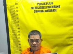Gelapkan Mobil Milik Ibu Kandung, Pria di Palembang Ditangkap di Banyuasin