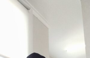 PERGUNU Sebut Plang Pajak di Sekolah Bentuk Public Shaming