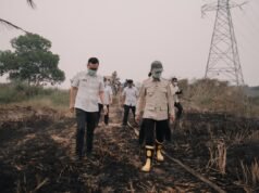 Terbongkar, Palembang Dikepung Asap Kiriman, Hanya 3 dari 66 Titik Karhutla di Dalam Kota