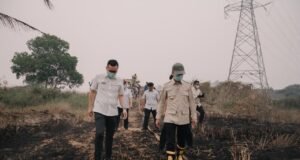 Terbongkar, Palembang Dikepung Asap Kiriman, Hanya 3 dari 66 Titik Karhutla di Dalam Kota