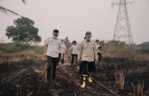 Terbongkar, Palembang Dikepung Asap Kiriman, Hanya 3 dari 66 Titik Karhutla di Dalam Kota