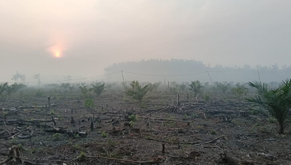 Asap Pekat Kepung PALI, Keluhan Sesak Disampaikan Warga