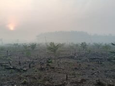 Asap Pekat Kepung PALI, Keluhan Sesak Disampaikan Warga