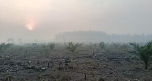 Asap Pekat Kepung PALI, Keluhan Sesak Disampaikan Warga