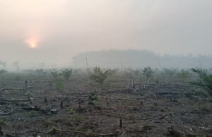 Asap Pekat Kepung PALI, Keluhan Sesak Disampaikan Warga