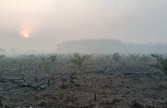 Asap Pekat Kepung PALI, Keluhan Sesak Disampaikan Warga