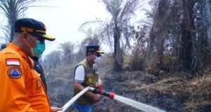 Bupati Muba Turun ke Muara Medak, Petugas dan Warga Bersatu Padamkan Karhutla