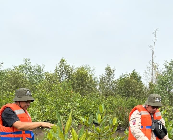 Kawal Pertumbuhan 22.000 Mangrove, Medco E&P Grissik Ltd. Lakukan Monev Bersama LDPHD Sungsang IV
