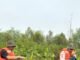 Kawal Pertumbuhan 22.000 Mangrove, Medco E&P Grissik Ltd. Lakukan Monev Bersama LDPHD Sungsang IV